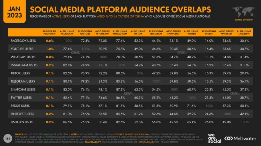 social media platform audience overlap